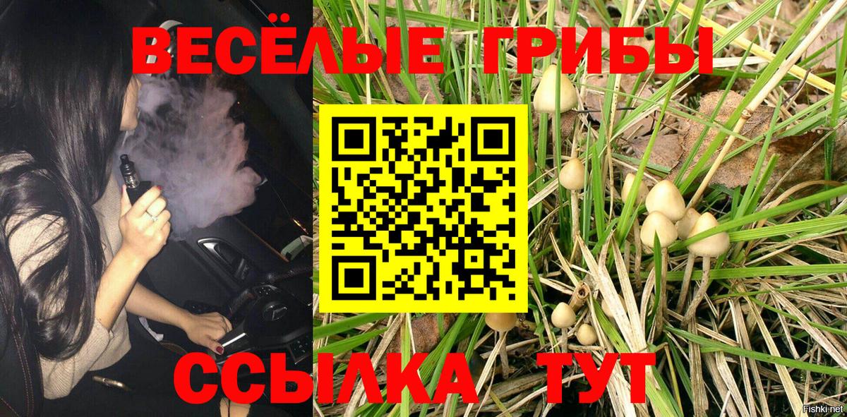 Галлюциногенные грибы Magic Shrooms  Вход с VPN  Малгобек 